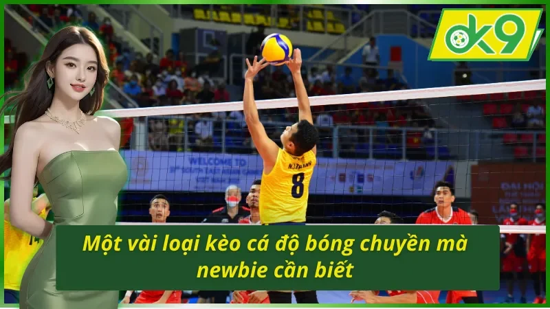 Một vài loại kèo cá cược bóng chuyền OK9 hot nhất 2026