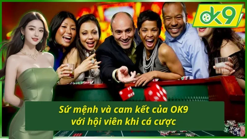 Tầm nhìn, sứ mệnh và cam kết của OK9 với hội viên